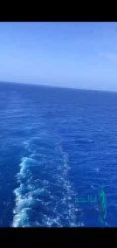 أرض علي البحر الأحمربصك محدث عسير  البرك